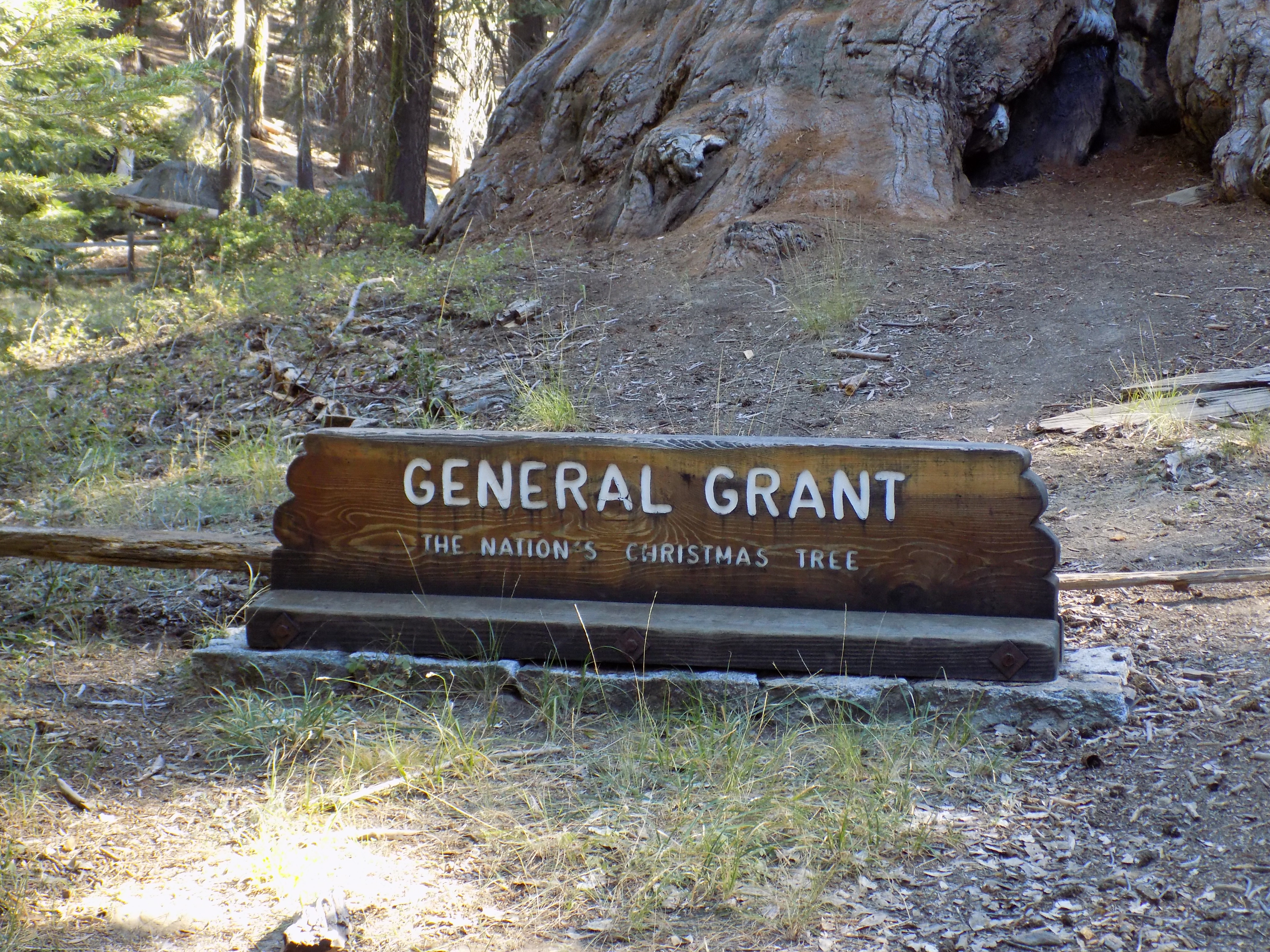 General Grant Tree