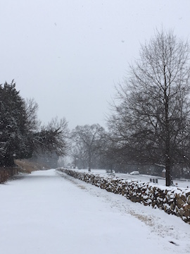 frsp-sunken-road-snow-2017