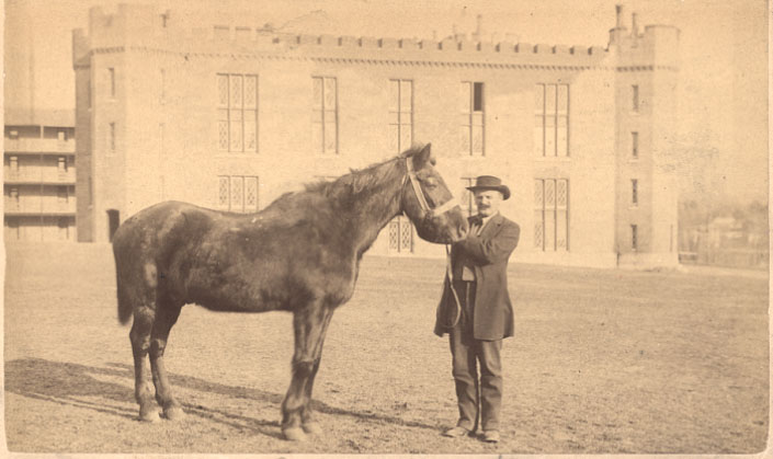 Little Sorrel, post-war photograph