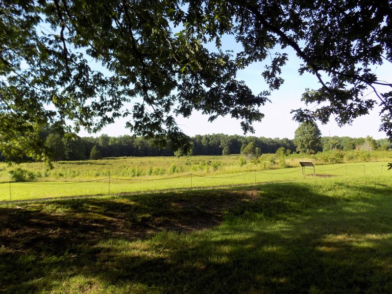 Summer Shadows at Spotsylvania; photography by Sarah Kay Bierle, 2016.