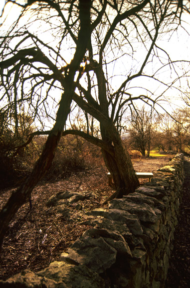 Kernstown-Stone Wall Defenses.jpg