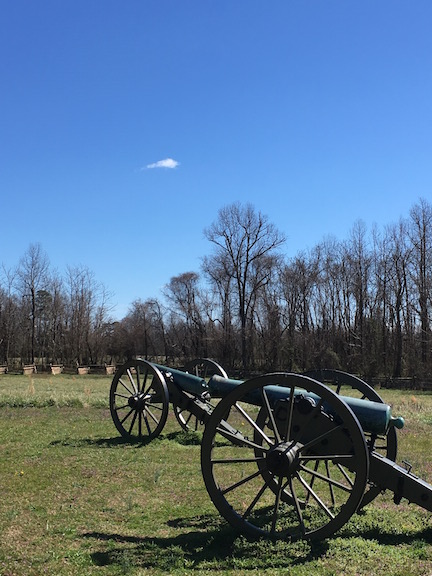 watt-house-cannon-duo