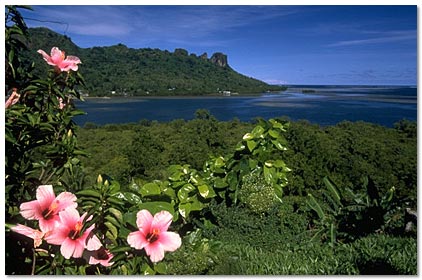 Pohnpei scene