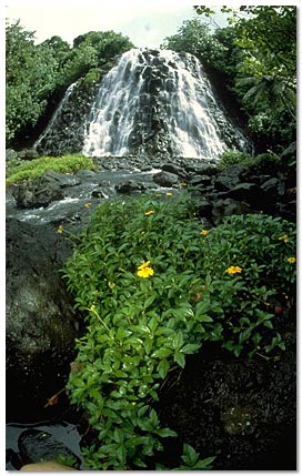Pohnpei waterfall