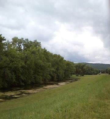 Fosters Pond_Elmira