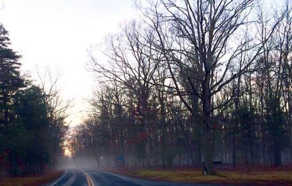 Lafleur Wilderness-foggy morning