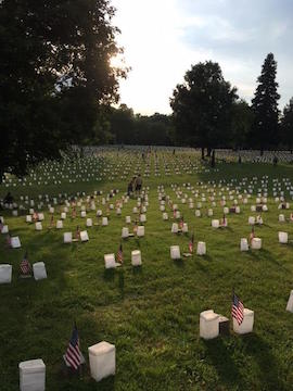 Luminaria Setup 2017