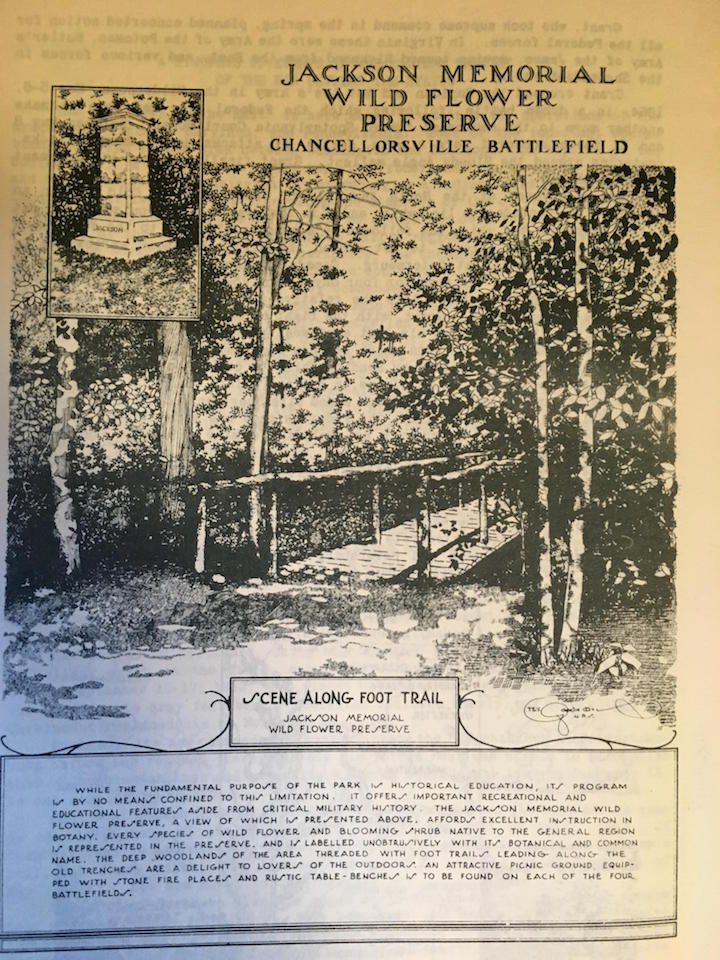 Jackson Garden