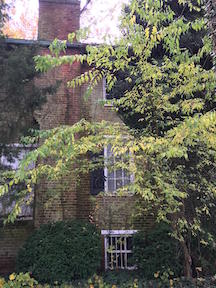 Fox House Chimney