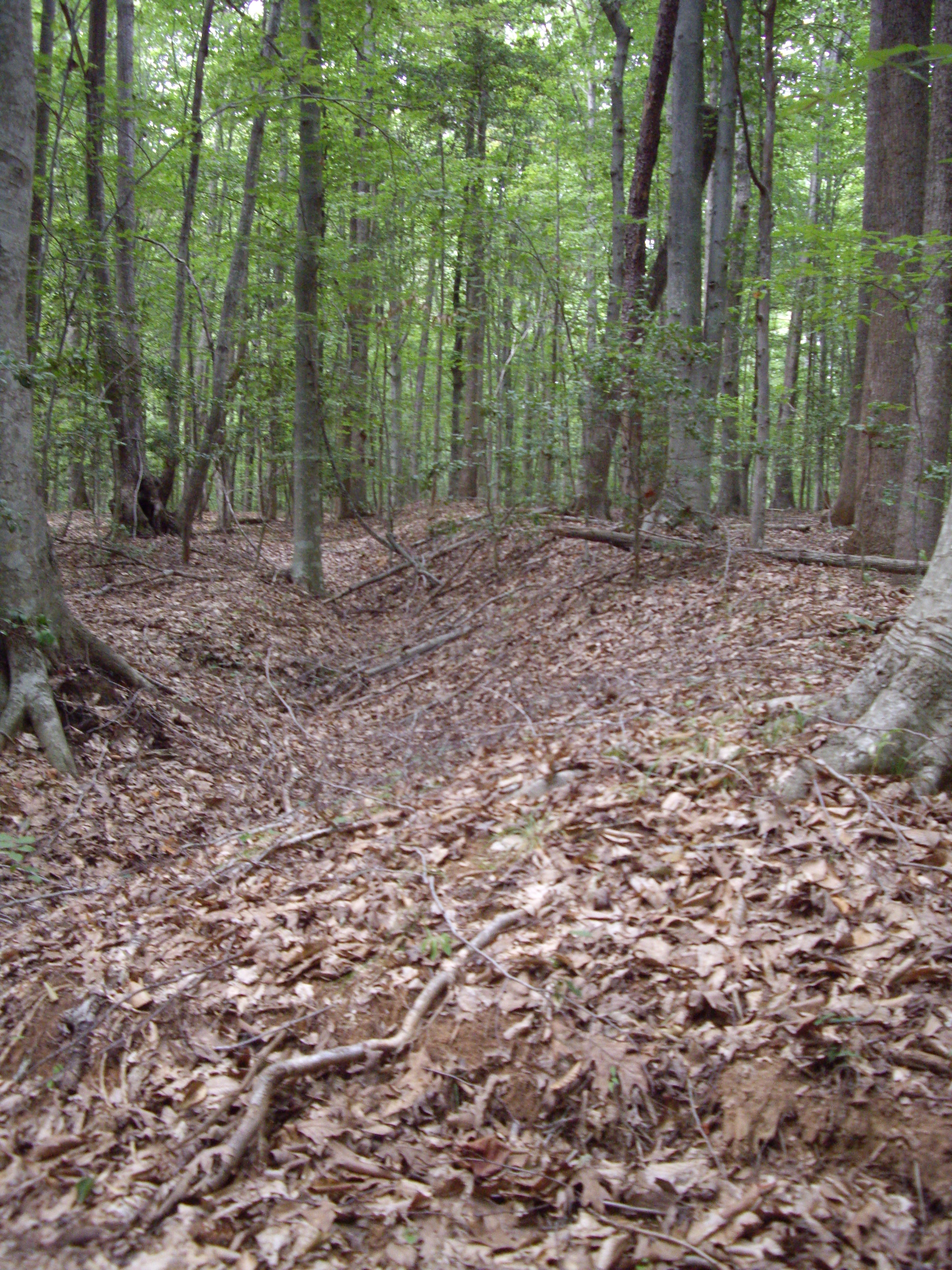 Earthworks at Stevenson Ridge.