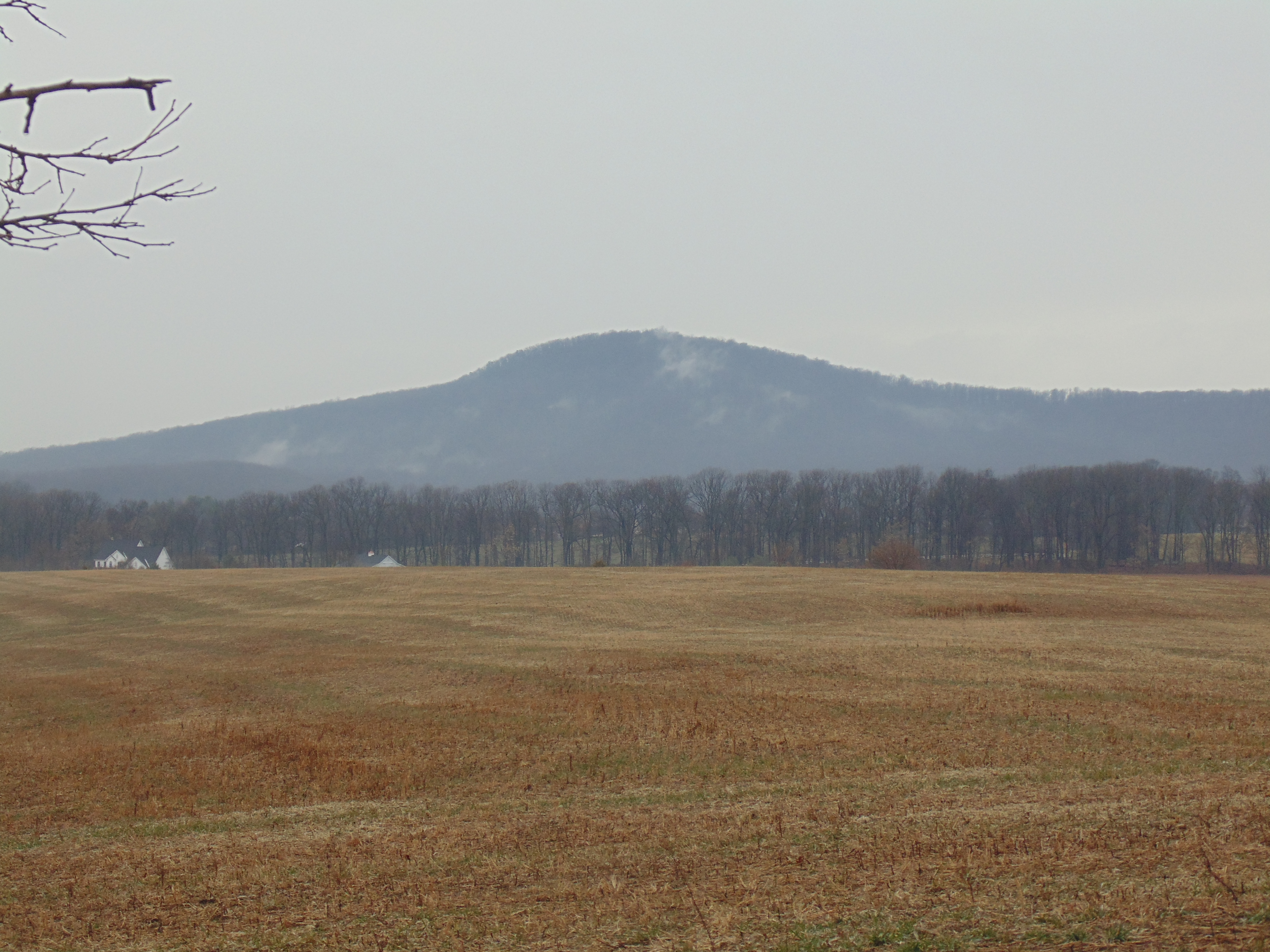 Recent NARA Trip 153