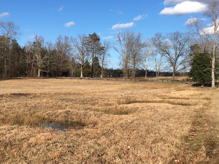 Spotsy Peepers still