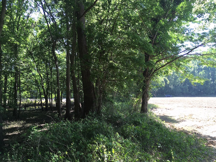Bruinsburg Dike 02
