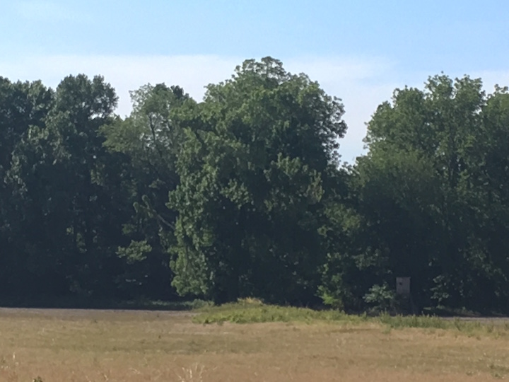Bruinsburg Dike