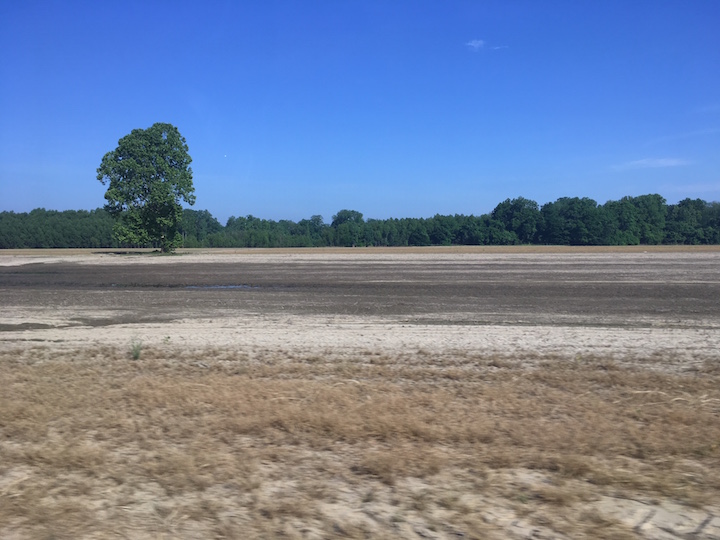 Bruinsburg Flood Plain