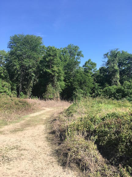 Bruinsburg Landing Site
