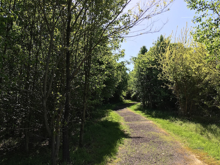 Day One Path through Wilderness
