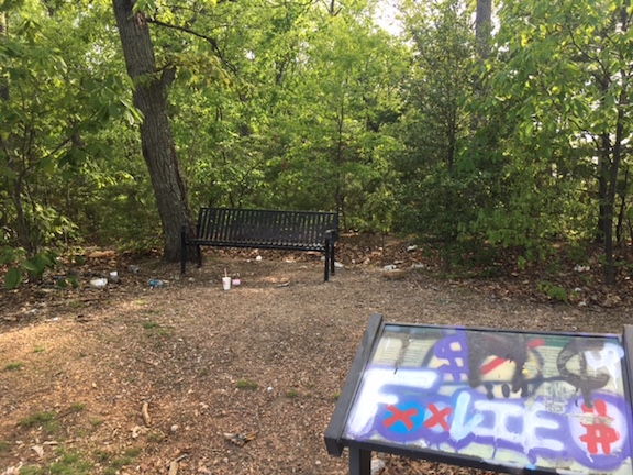Trash Park 03