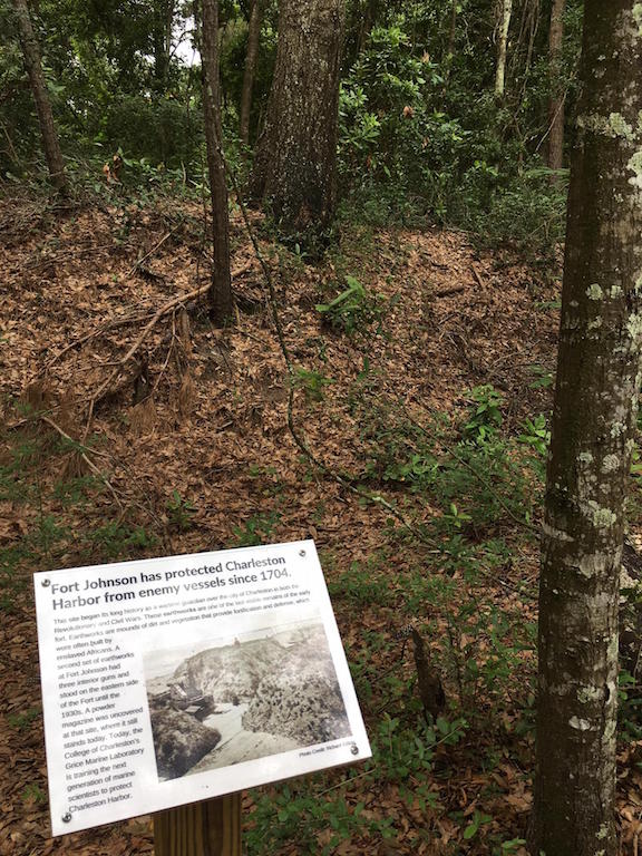 Ft. Johnson Earthworks