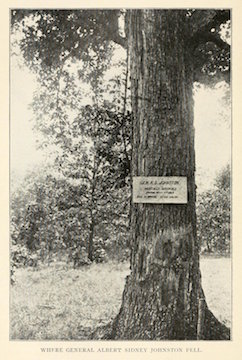 Johnston Tree with Sign-sm