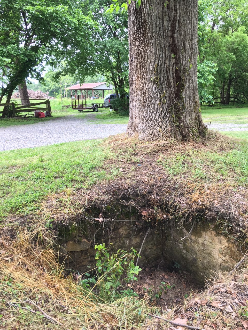 Fox House sinkhole