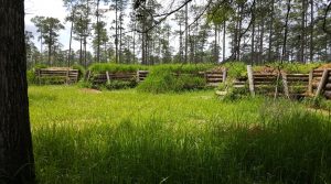 Inside Blakely Fortification