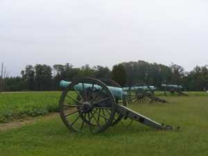 A line of cannons