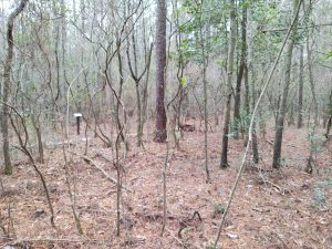 A marker stands next to the trenches