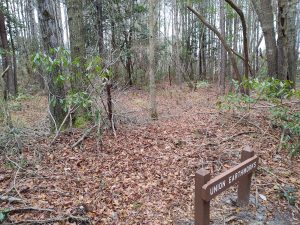 A sign marks the trenches in the woods
